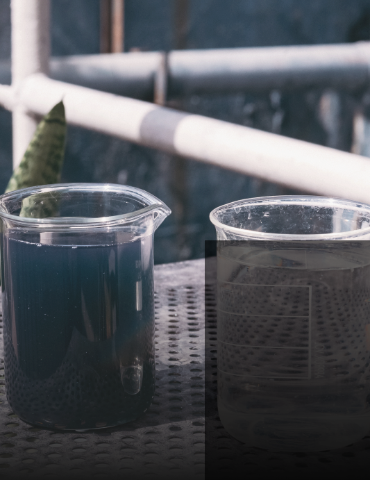 Chemical Management & Safety