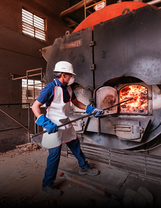 Carbon-Mitigation thumbnail